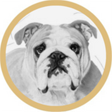 Bulldog